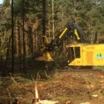 Tigercat Feller Buncher in use